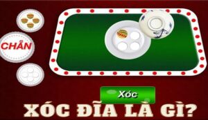 Những Bí Quyết Thành Công Khi Chơi Xóc Đĩa Nhà Cái 33BET